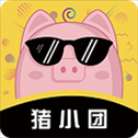 猪小团app